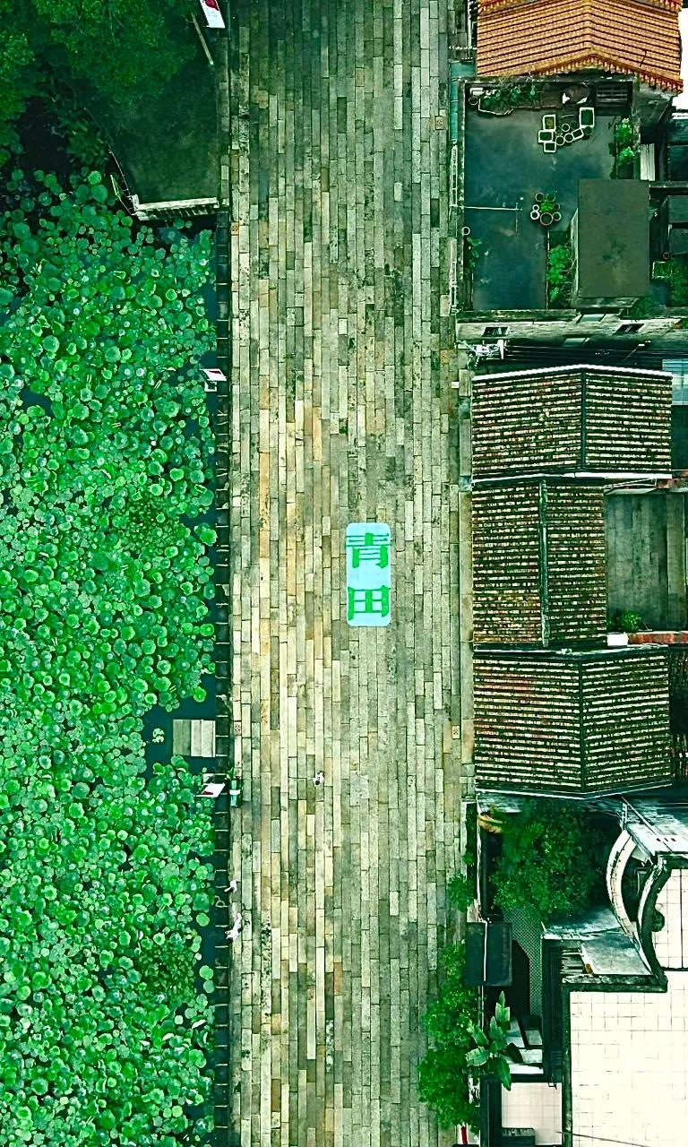 中国唯一用欧元买菜的江南小城,青田市民买菜用欧元