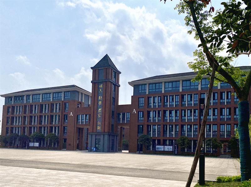 津彩新研学,津彩十年