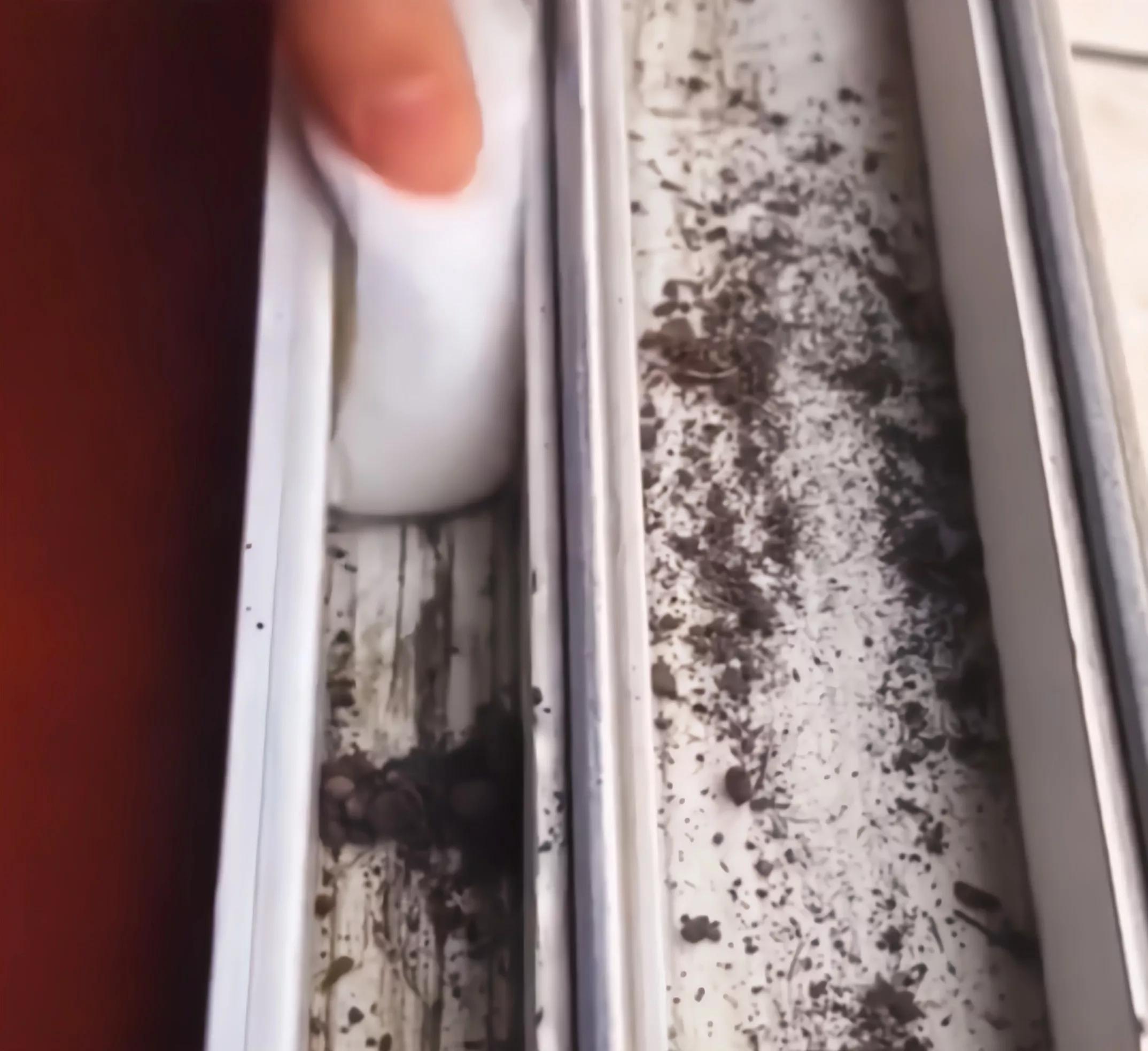 滴露消毒液把白色衣服染色怎么办,白色衣服和黑色一起染色了怎么办