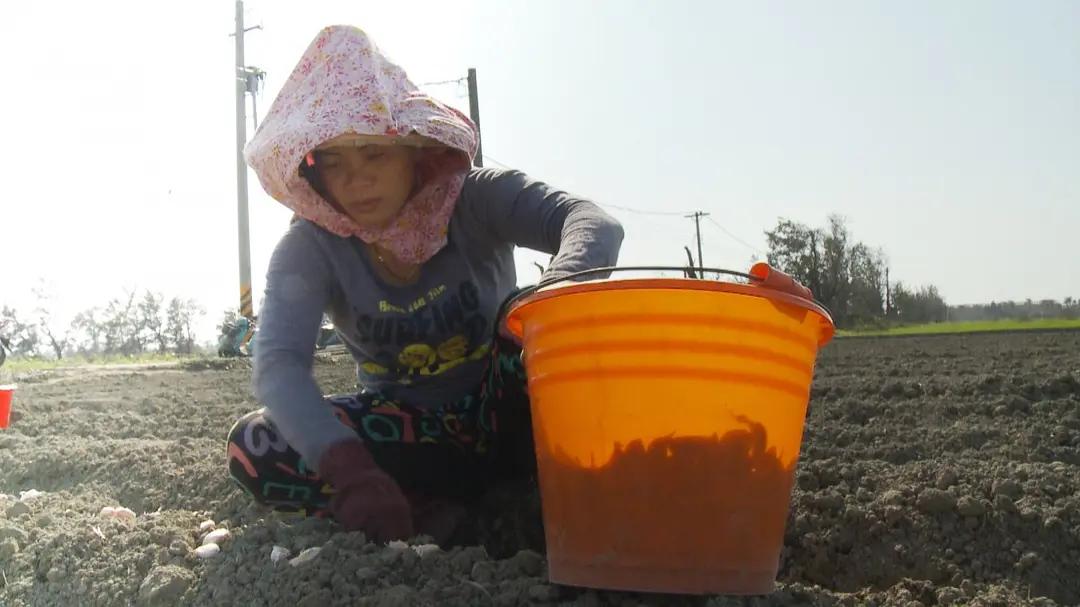 越南新娘骗局大揭秘,如何避免越南新娘骗局