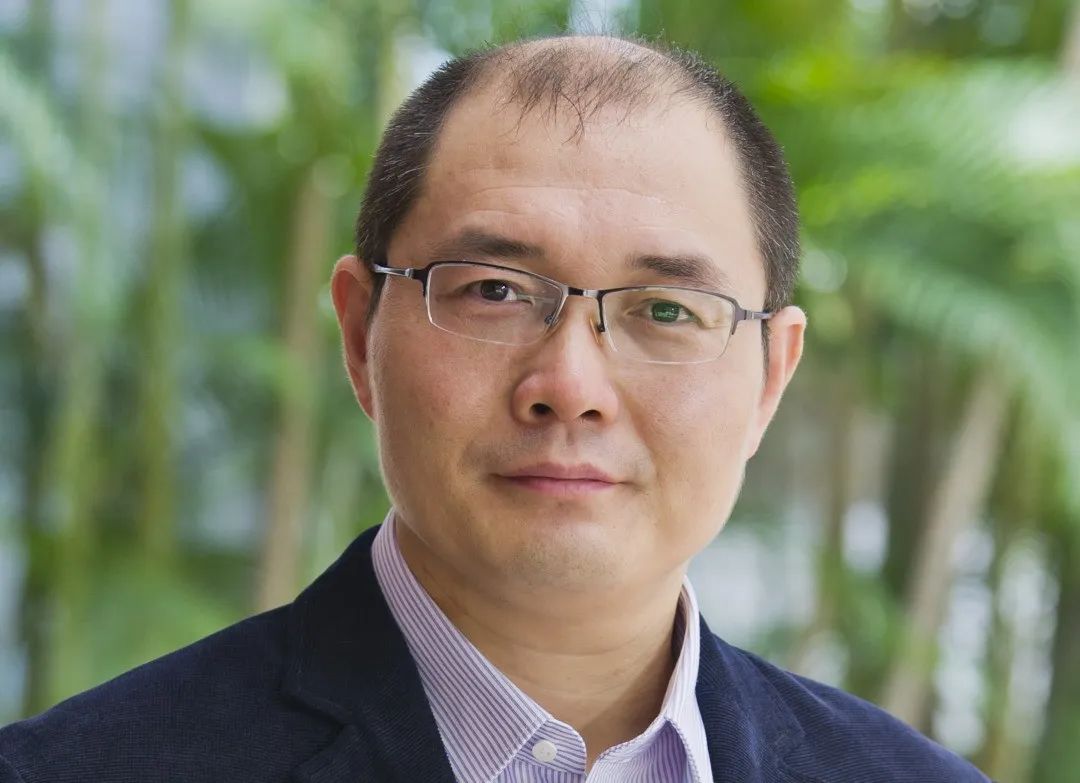 有望应用于大规模储能，港城大实现均匀锌电镀/剥离的预沉积策略