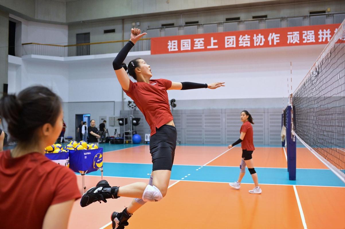 女排18名队员,最新女排大名单分析