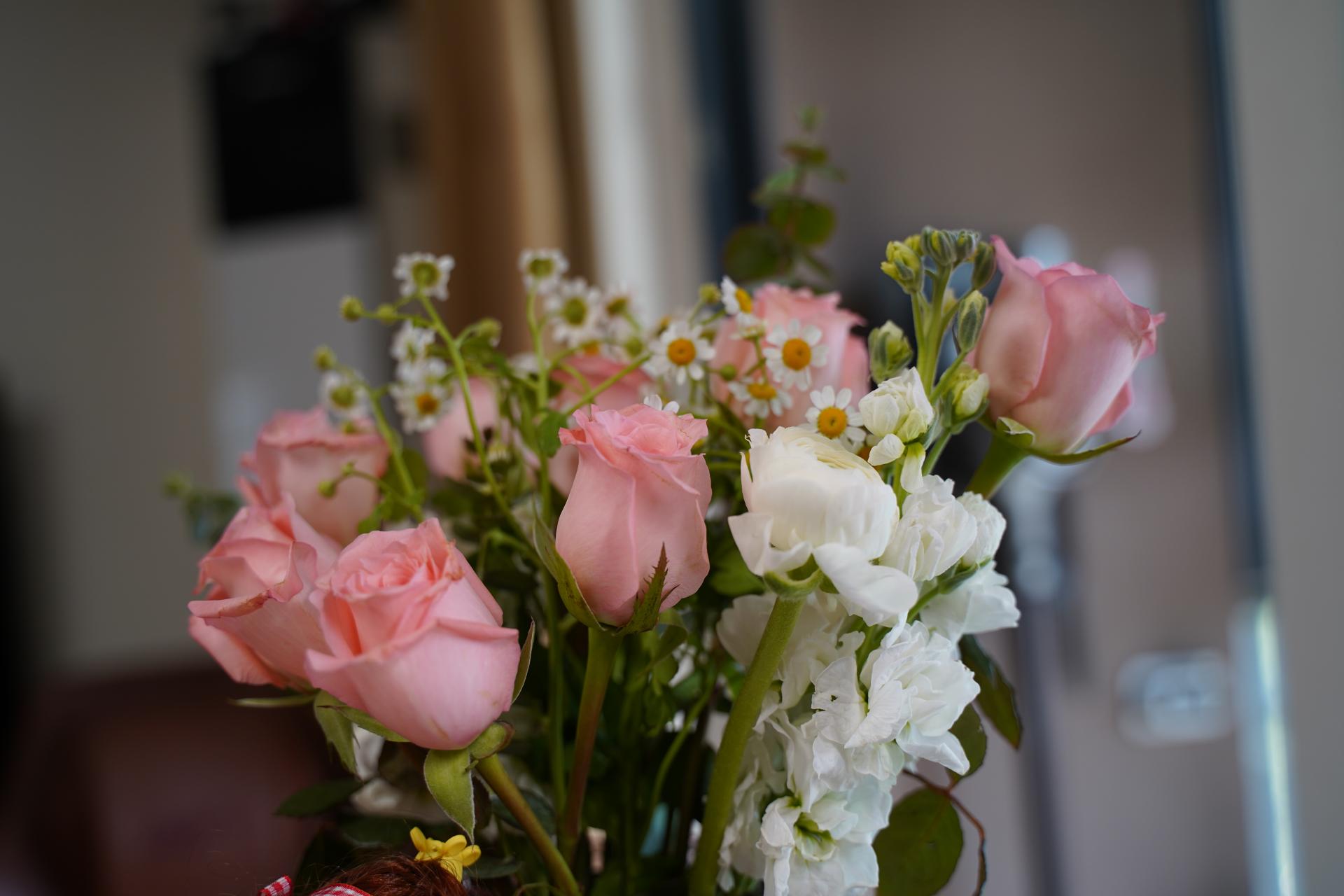 女神节快来给自己挑个礼物吧,女神节快到了送自己一份小礼物