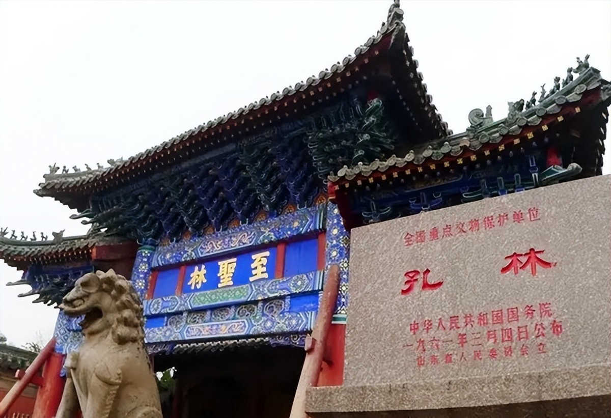 山东孔林为何能乌鸦远避，蛇类不侵？老祖宗的智慧让人叹服