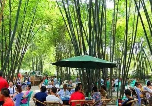 鎴愰兘鏈涙睙鍏洯鍦板潃,鎴愰兘鏈涙睙鍏洯鎾炰笂娌冲牑闄姢浼ゅ憳