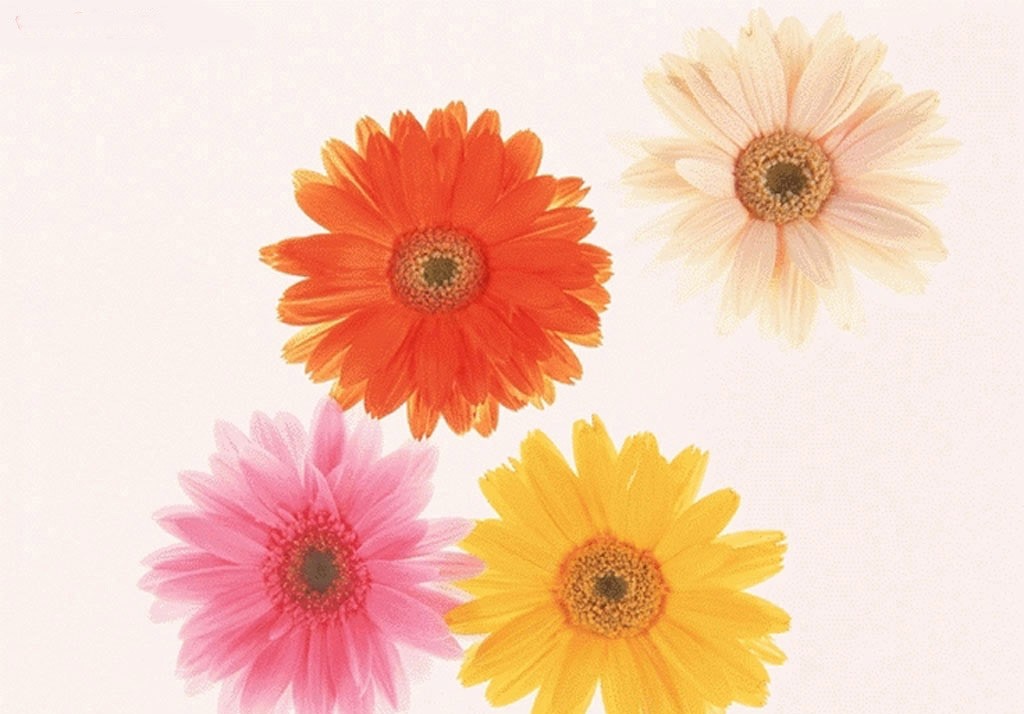 hr如何面对优秀人才离职,培养的员工突然离职