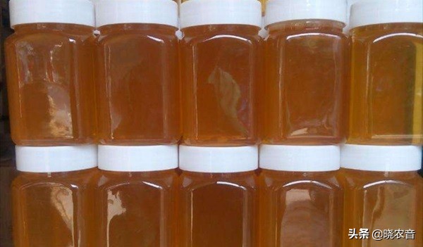 中国蜂蜜哪里产的最好,中国哪里产的蜂蜜最好