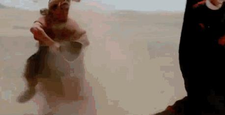 赵文卓提刀原视频,赵文卓提刀