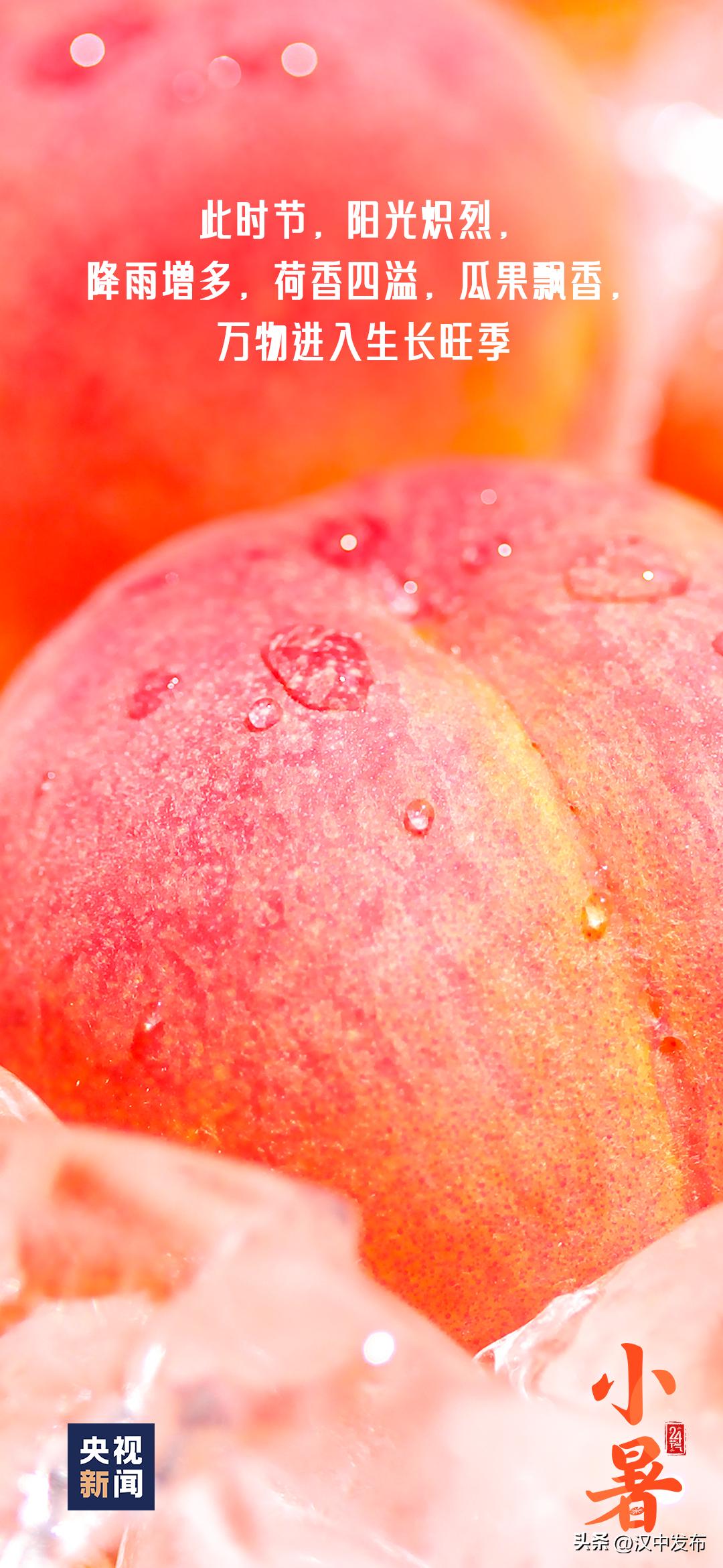 今日小暑风动莲生香心静自然凉,今日小暑诗句