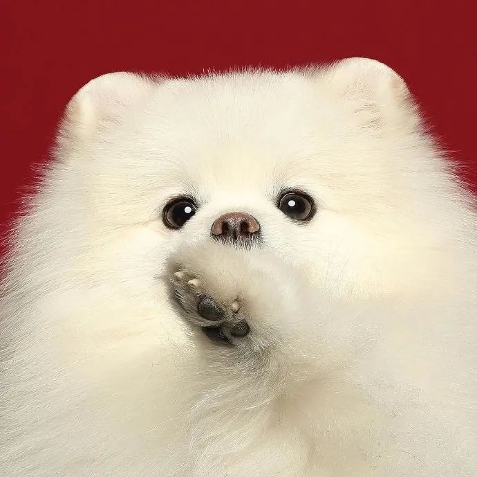 情侣头像来我身边给你温暖,情侣头像我细数时光只为与你相见