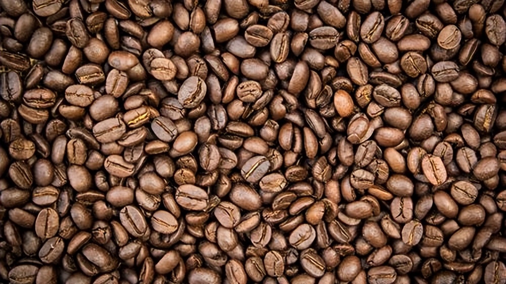 贸易在印度河流域文明发展中有何意义，对当时社会产生了什么作用