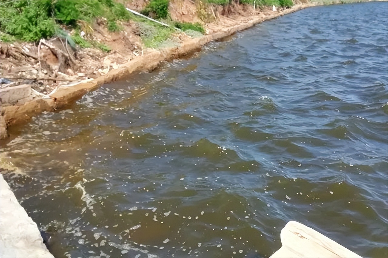 红水、绿水、浓水？高温期稳水就用粤彩乐