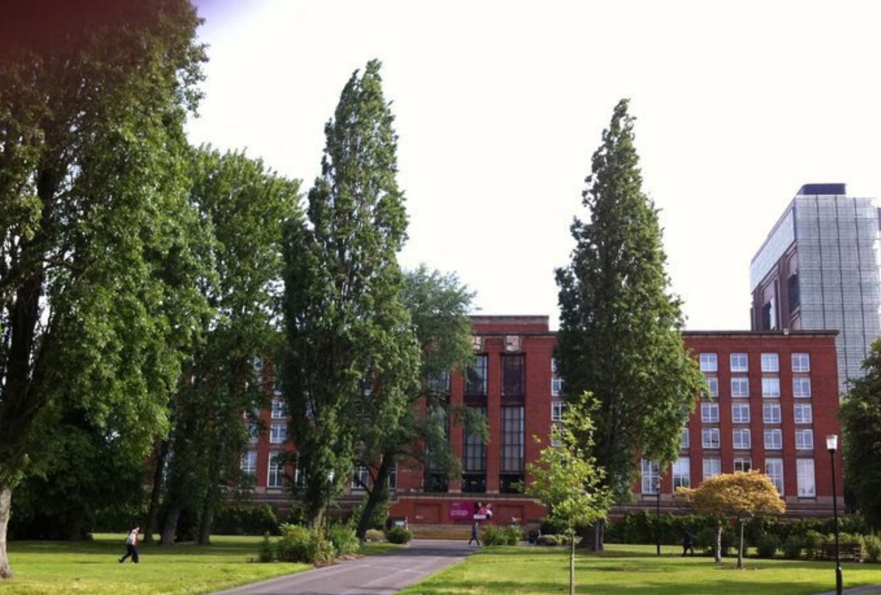 英国本地毕业生就业方向,英国就业率极高的三种专业