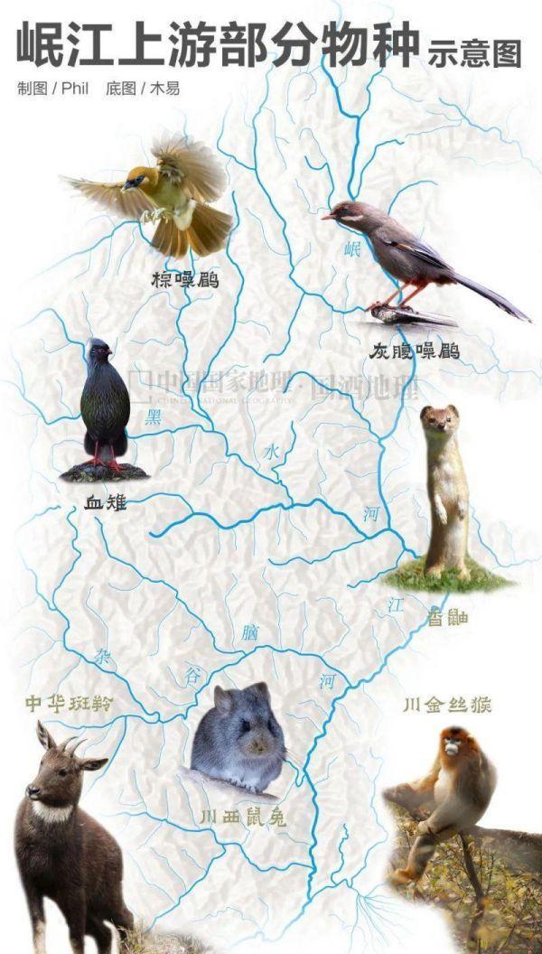 微生物菌群最新研究进展,一号菌群科研新成果