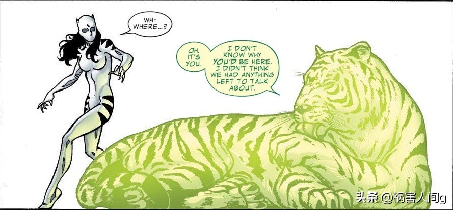 凤凰之力的对应物：初堕者、黑贝特、妖精之力、虎神和星鹰