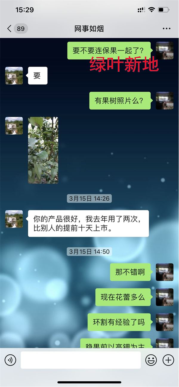 沙糖桔从哪里开始着色,促进沙糖桔快速着色方法