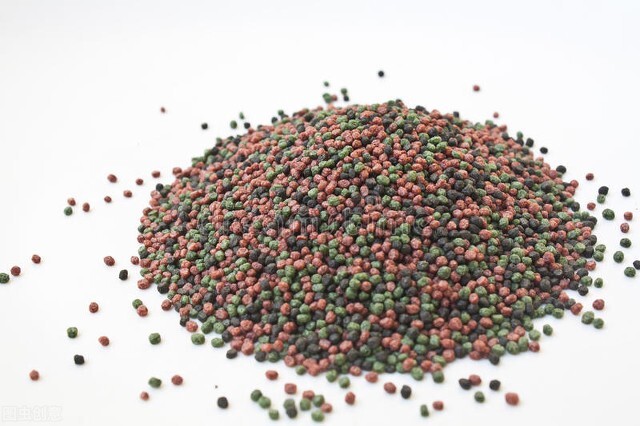 金鱼缸,金鱼多久喂一次