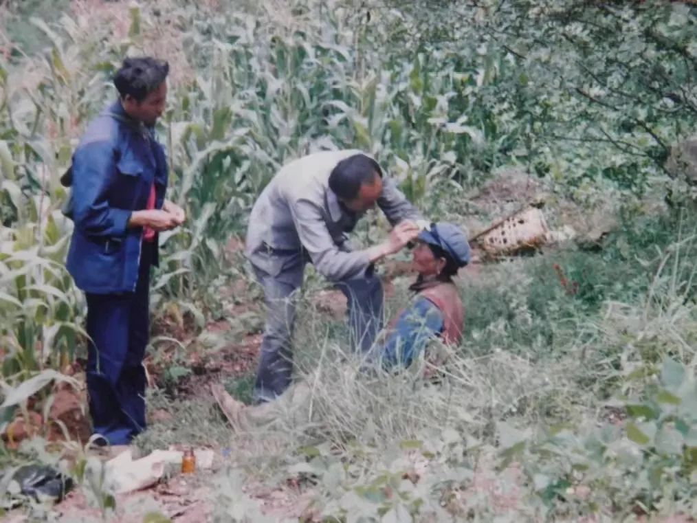 榜样李桂科原籍贯,榜样李桂科先进事迹感悟