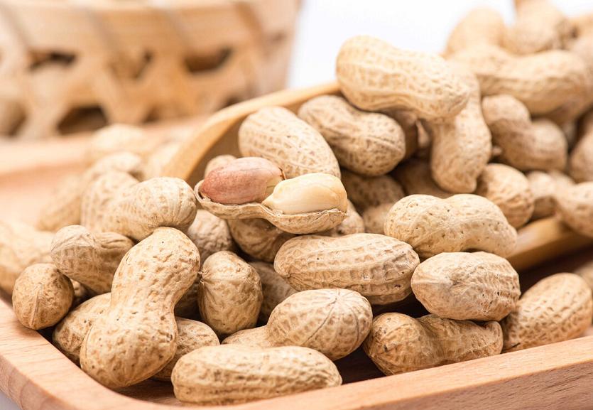 蛋白补什么蛋黄补什么,蛋白补多了好吗