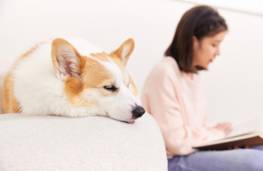 失眠和入睡困难按几个有效穴位,调理失眠白天嗜睡的穴位