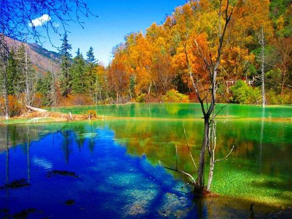 去九寨沟自己游还是跟团游好,成都出发去九寨沟旅游跟团游价格