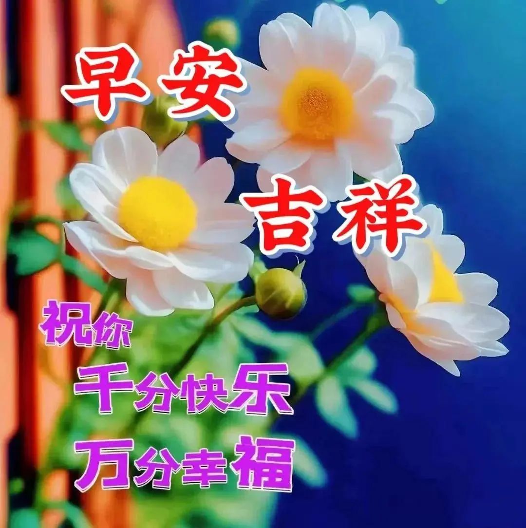 早安经典语录语句图片,早安经典语录及图片