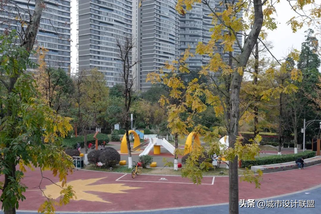 成都值得一游的公园,夏季成都宝藏公园