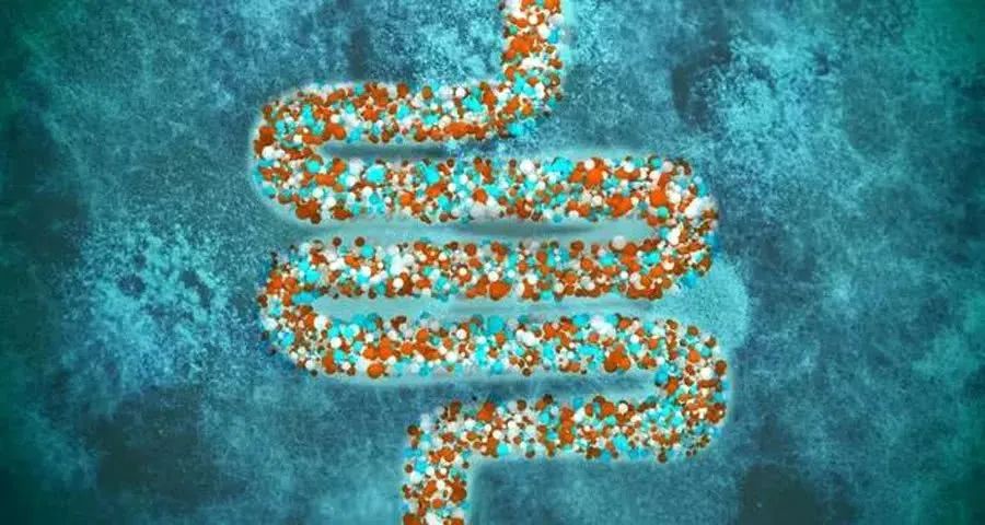 肠道细菌对甲状腺有什么危害,甲状腺与肠道