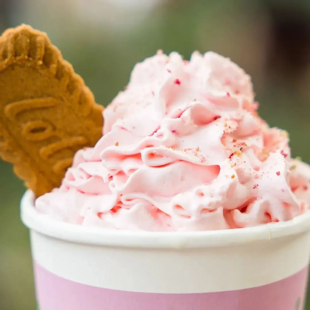 春季特色茶饮,春季茶饮推荐