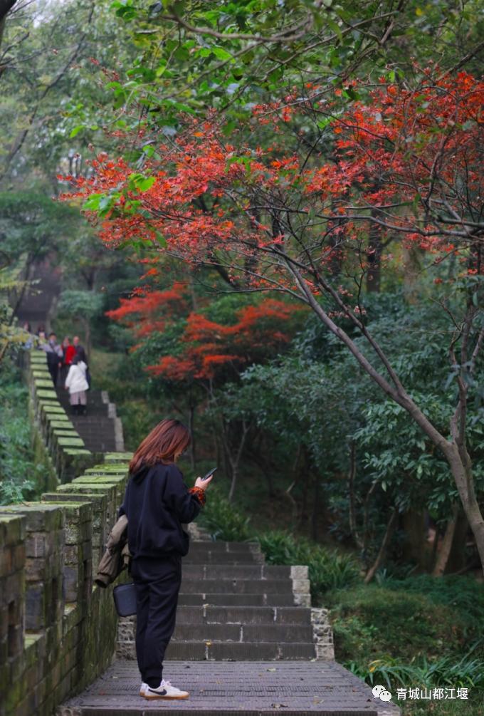 立冬气温仅13℃!快来领取都江堰专属的『入冬四件套』,品围炉暖食、享竹林温泉......成都1.5h直达~