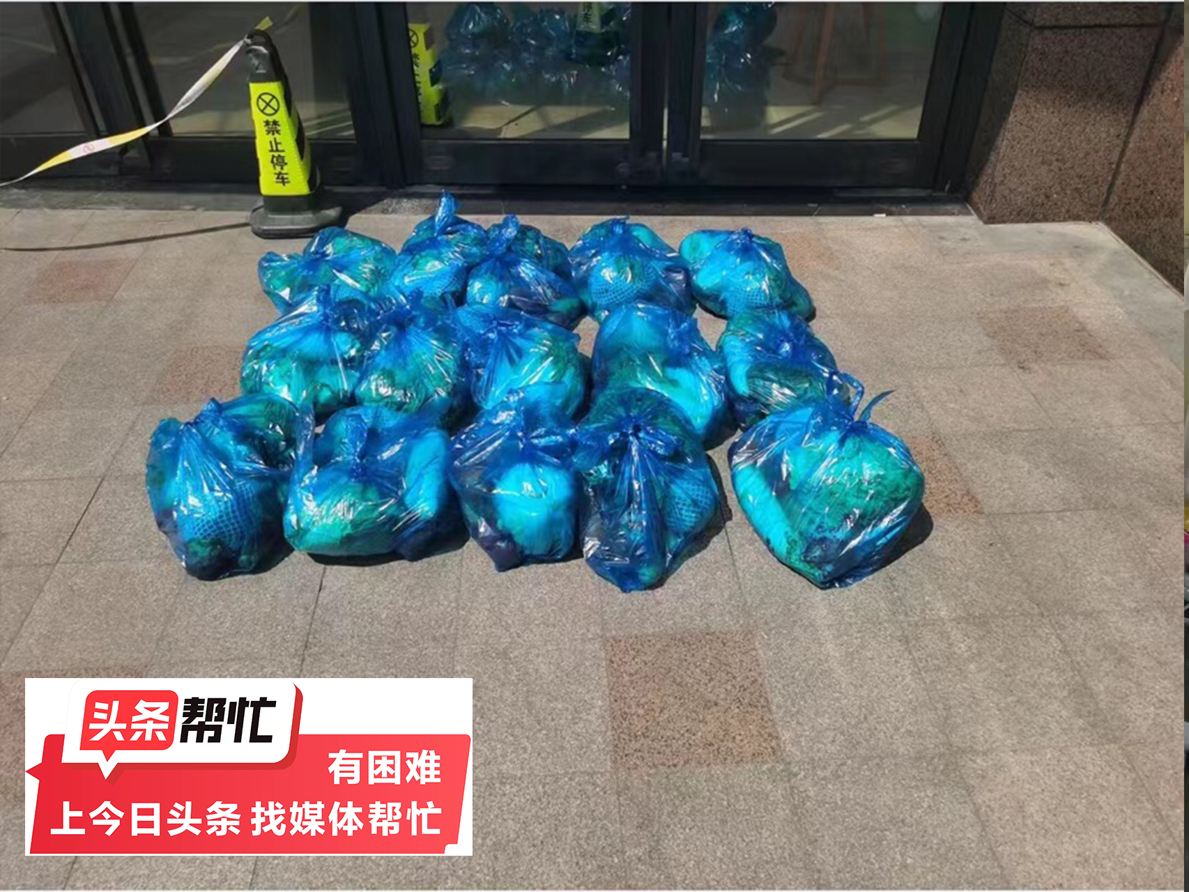 闈掑勾鍏瘬涓夐,闈掑勾鍏瘬绉熷闂