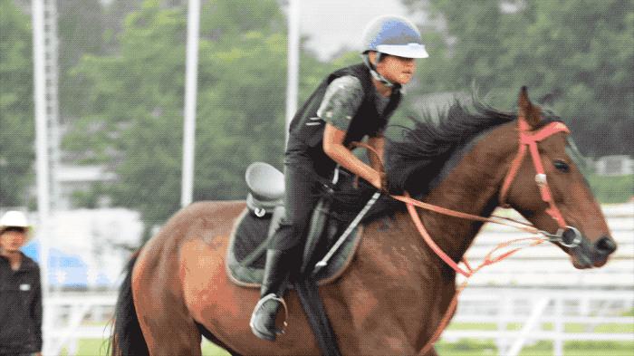 夫妻带5岁儿子环游世界,小夫妻带5岁孩子旅游边走边看