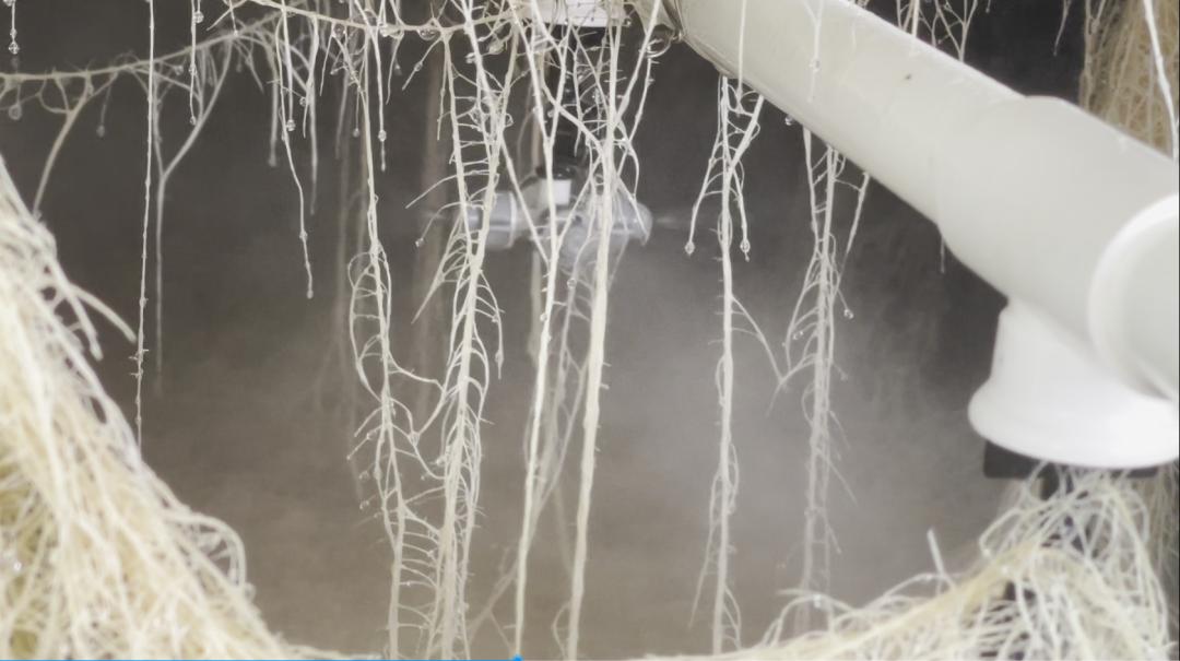 雾培蔬菜种植技术视频,在家水培蔬菜水果种植技术