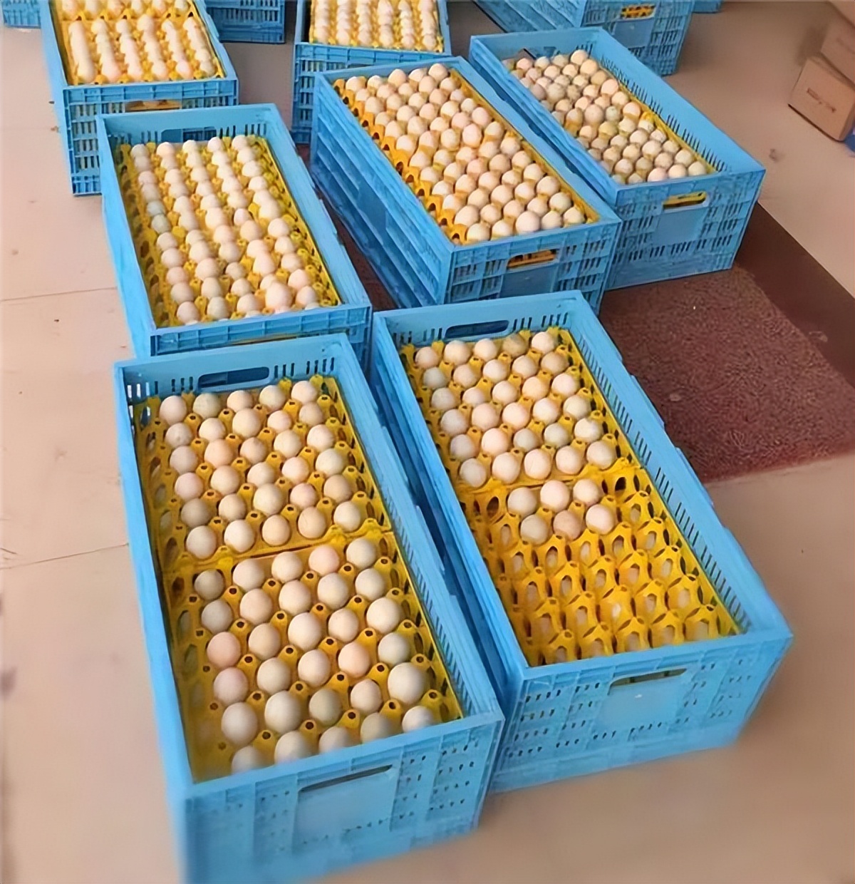 超市买的鸡蛋放冰箱里,超市买的鸡蛋放了一个月还能吃吗