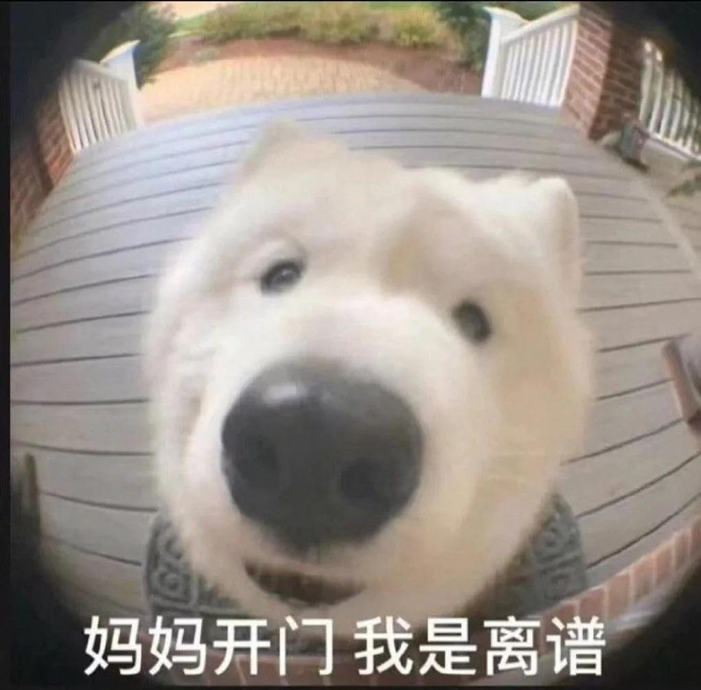 主角修炼的功法跟其他人修炼相反,主角修炼效果相反的小说