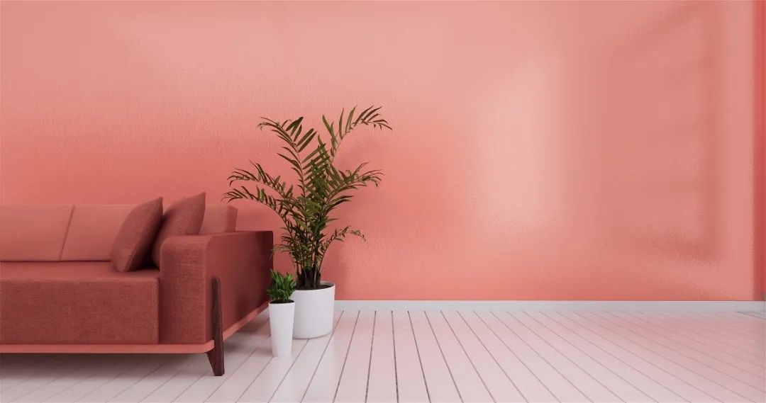 硅藻泥除甲醛骗局,硅藻泥真的被曝光了吗