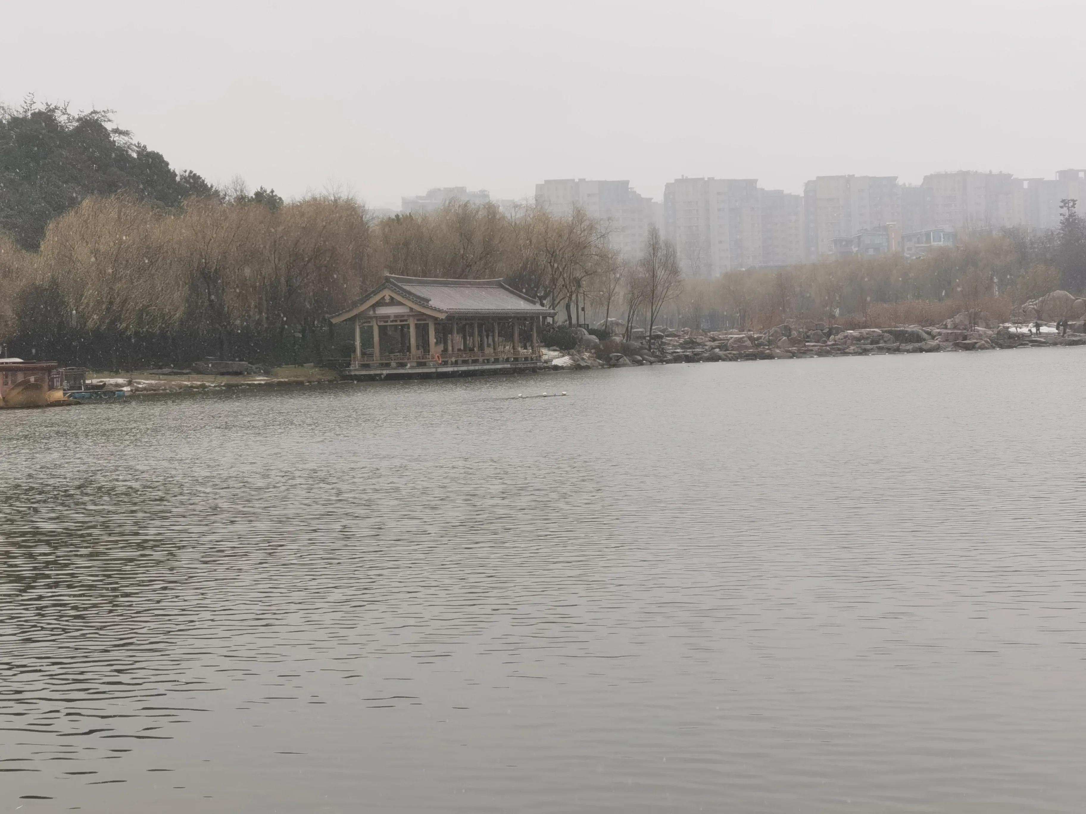 冬雪歌曲,冬雪原唱