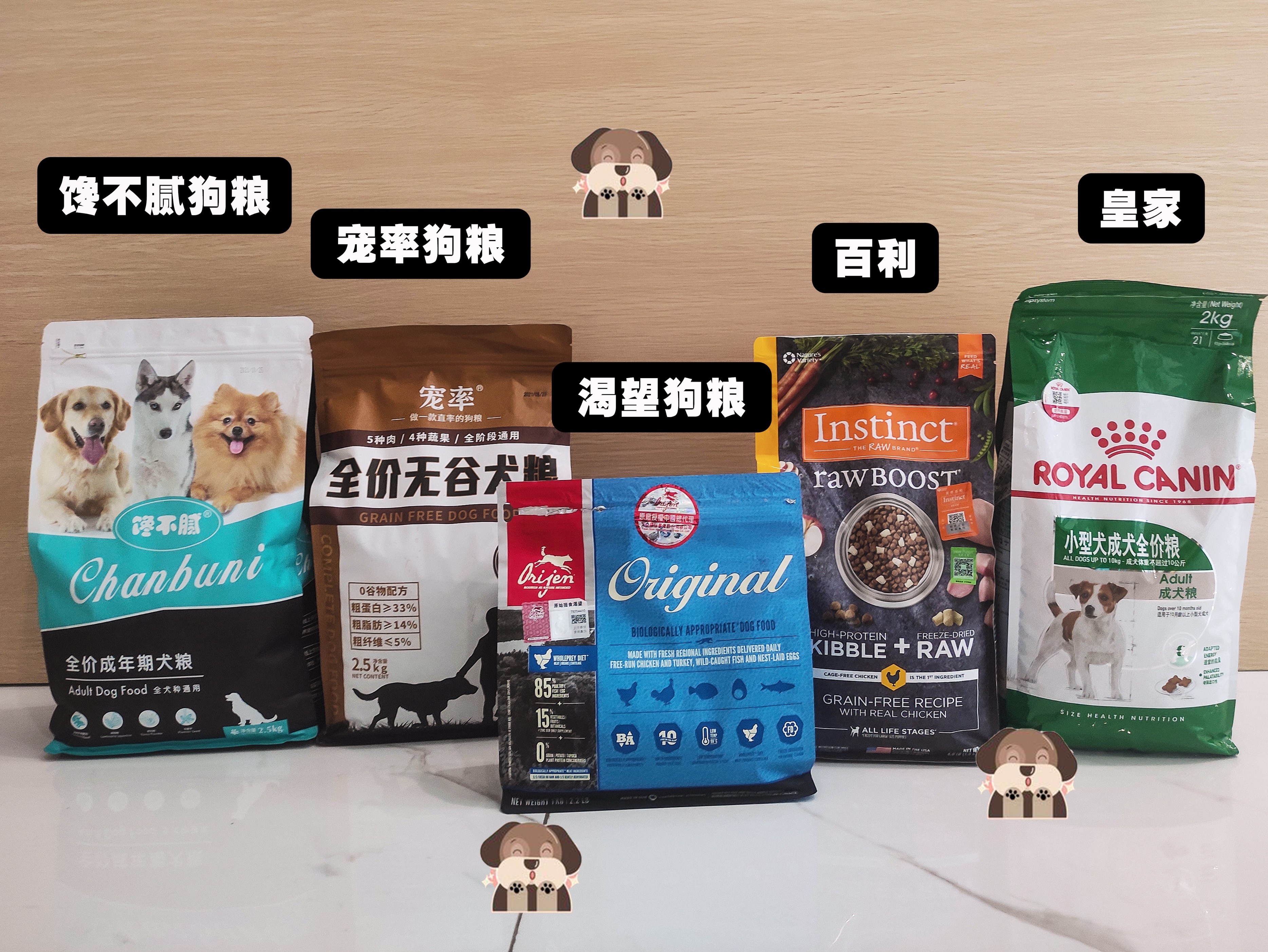 辨别泰迪真假视频,泰迪的智商和纯不纯有关系吗