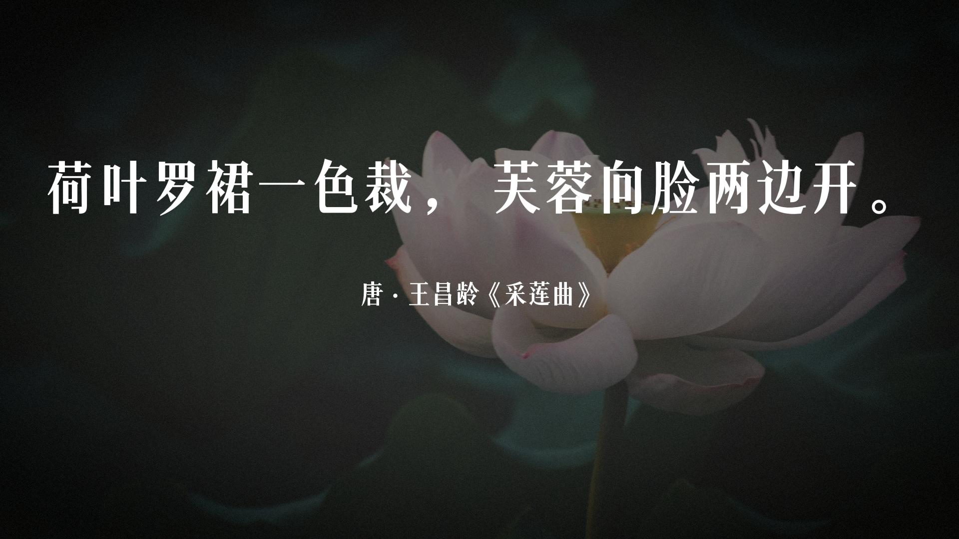 荷风送香气竹露滴清响是写荷花吗,古诗词经典唯美名句关于荷花的