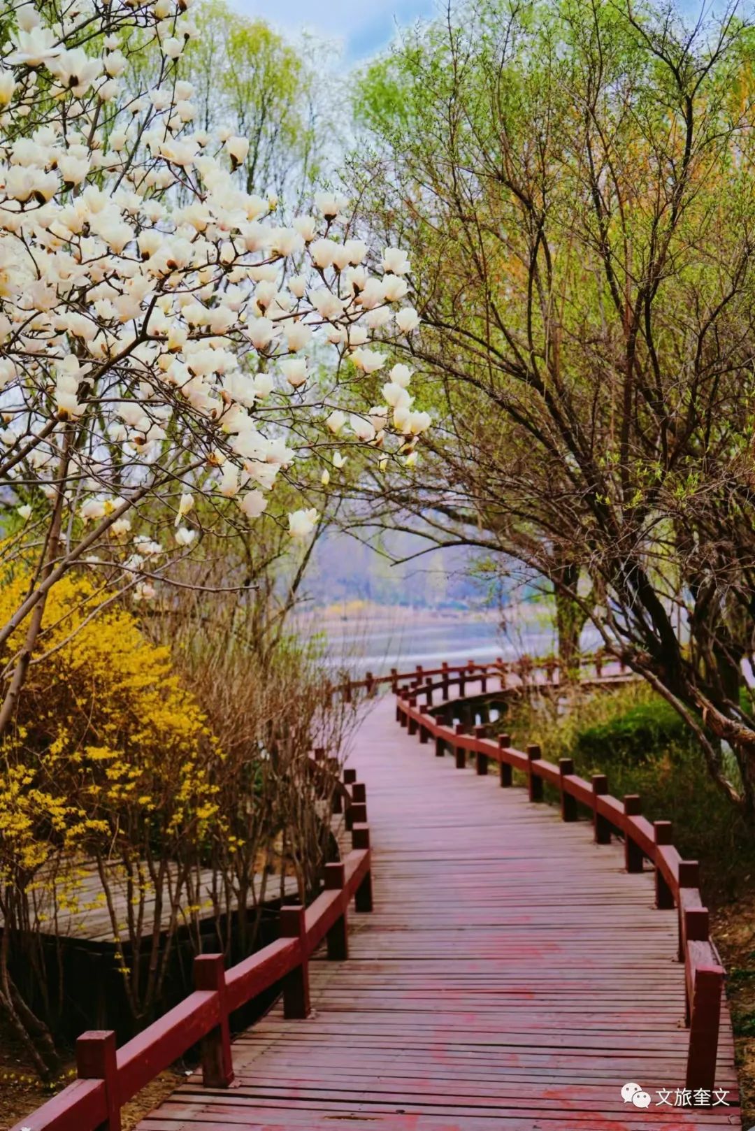 周末徒步免费景点攻略,此生必打卡的山跟徒步路线