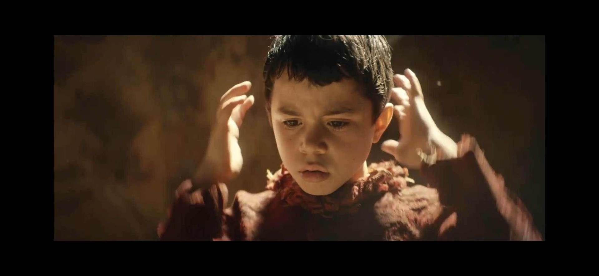 匹诺曹金鸡奖,匹诺曹2004届金鸡奖