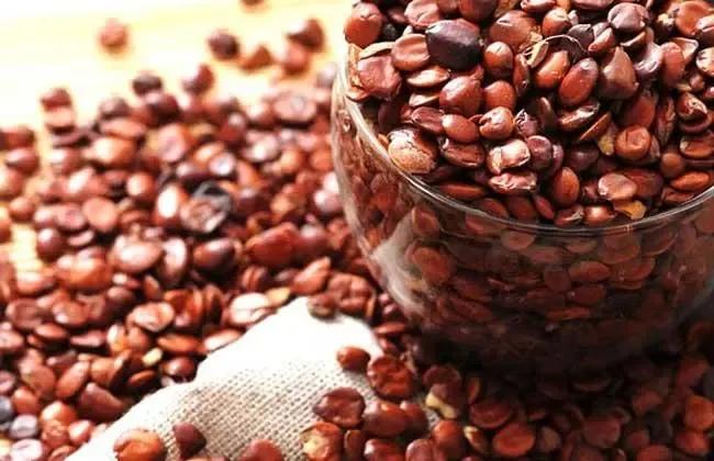 脾虚便秘可以喝番泻叶吗,番泻叶治便秘