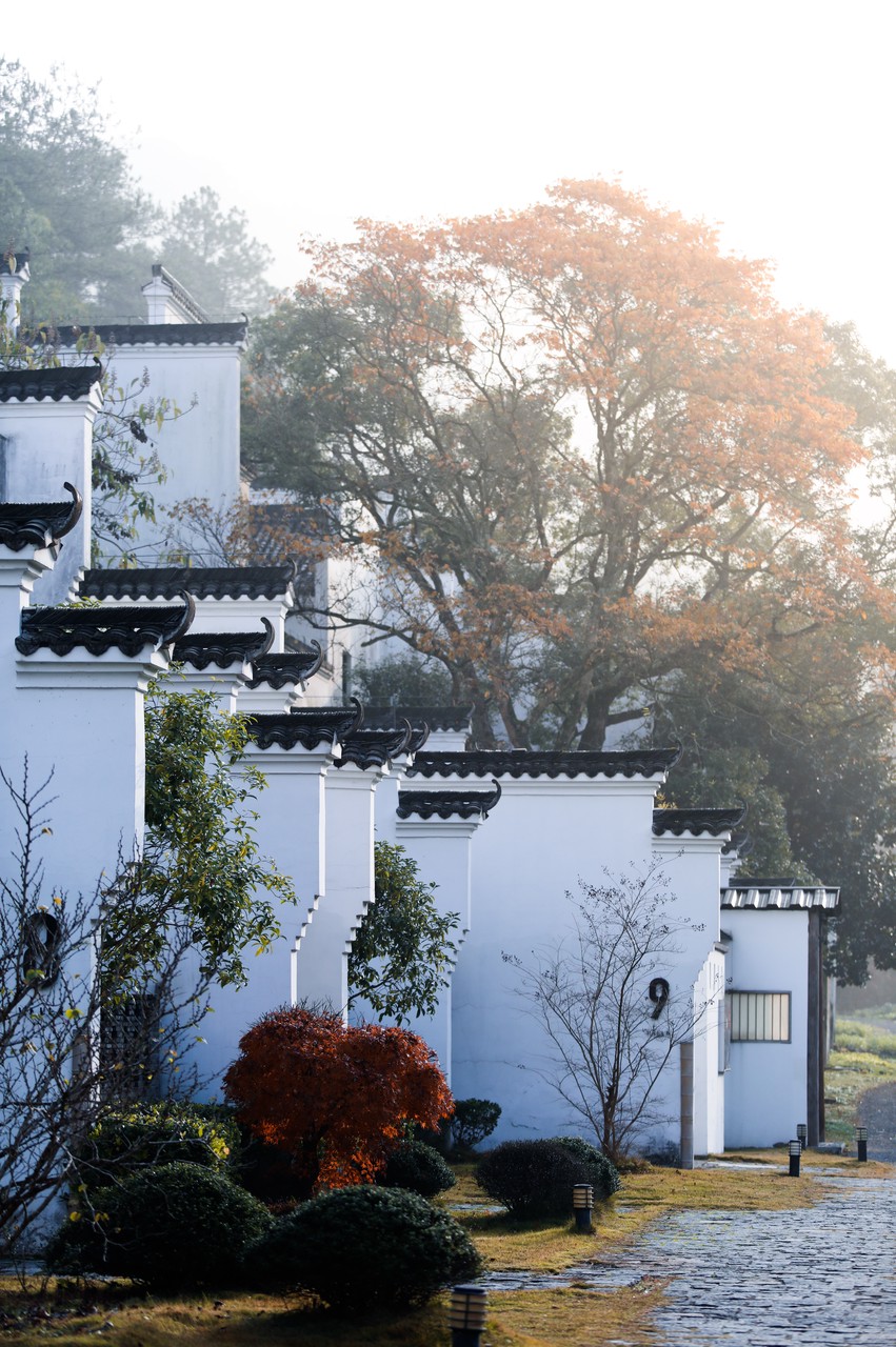 富春江河鲜,富春江诗词