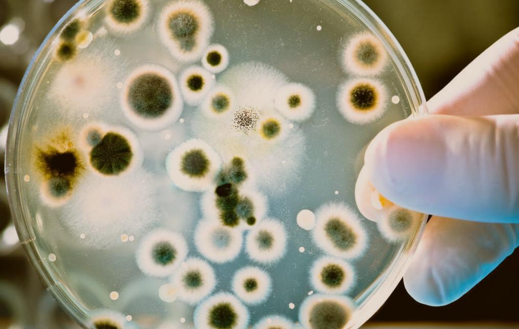 外阴总是很干怎么回事,外阴老是干是怎么回事