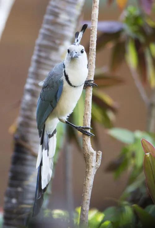 世界最美山水花鸟高清图片,精美山水花鸟图片大全