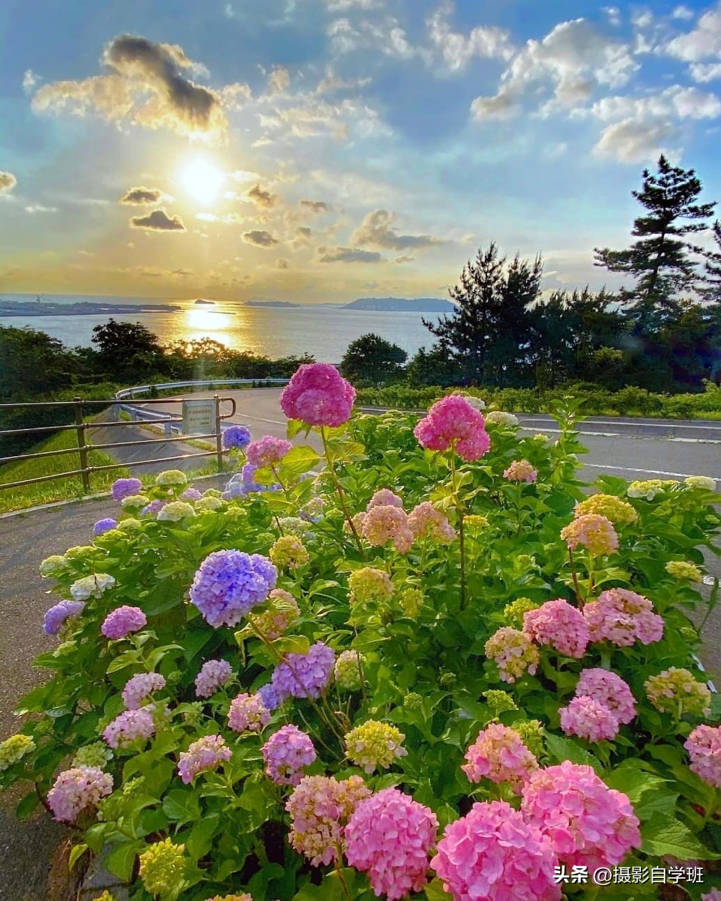 夏天怎么拍照更有夏天感觉,如何拍好夏天的照片