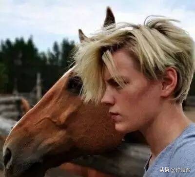 现在的瑞典现状,瑞典现状