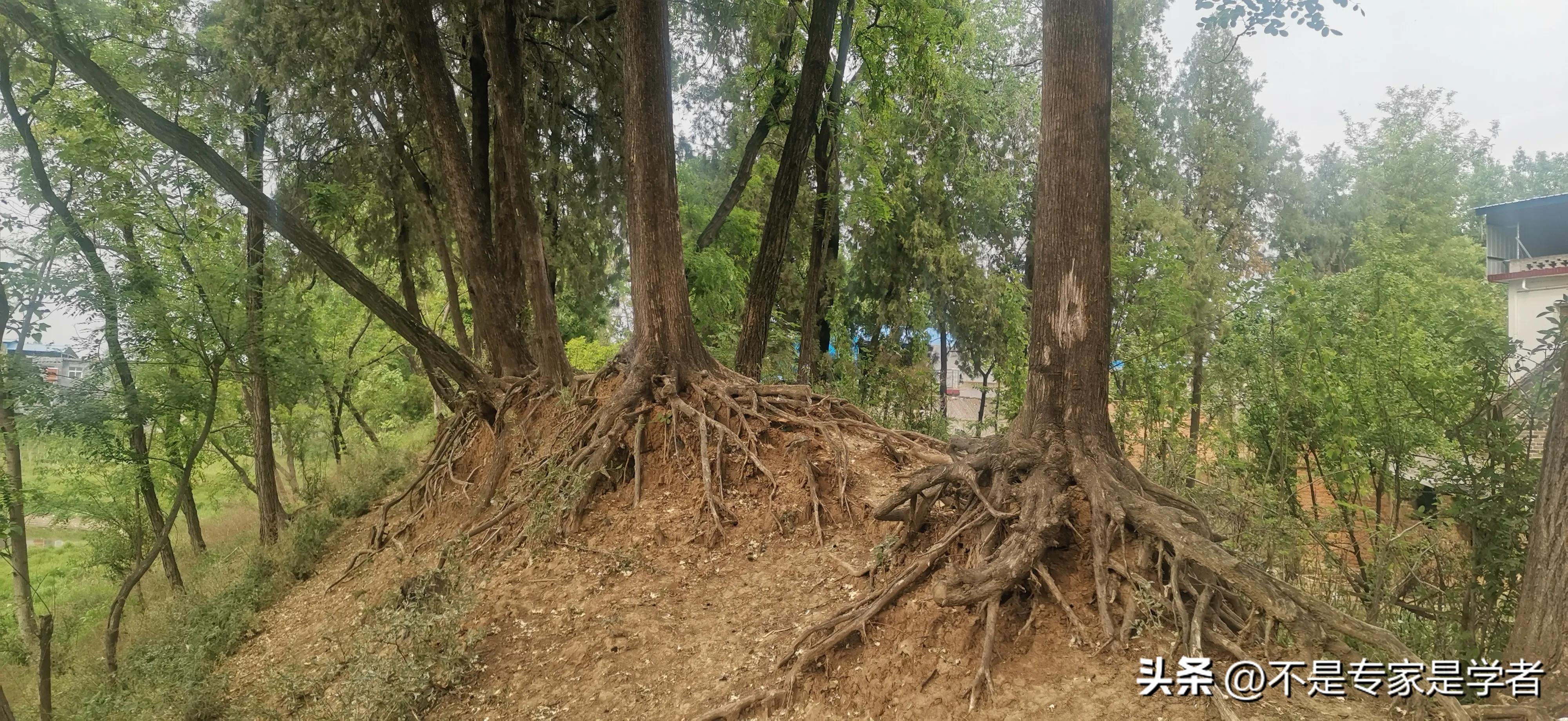 山东与河南版图有一个狭长地带,三省交界的地方河南安徽山东