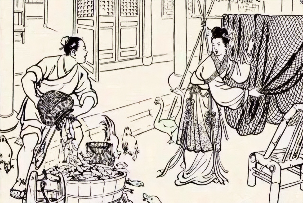 民间故事救乌龟,小伙救旱龟民间故事