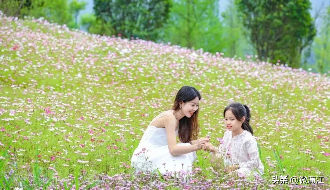 迎新春兔年促消费,迎新春促消费浓浓年味享不停